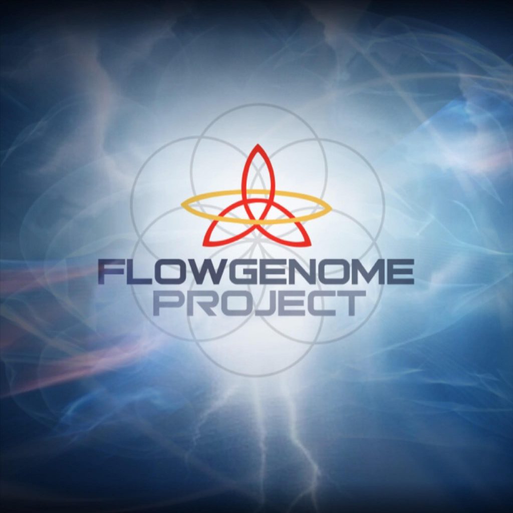 Flow Genome Project LIVETHEFUEL Hard Charger Flow State