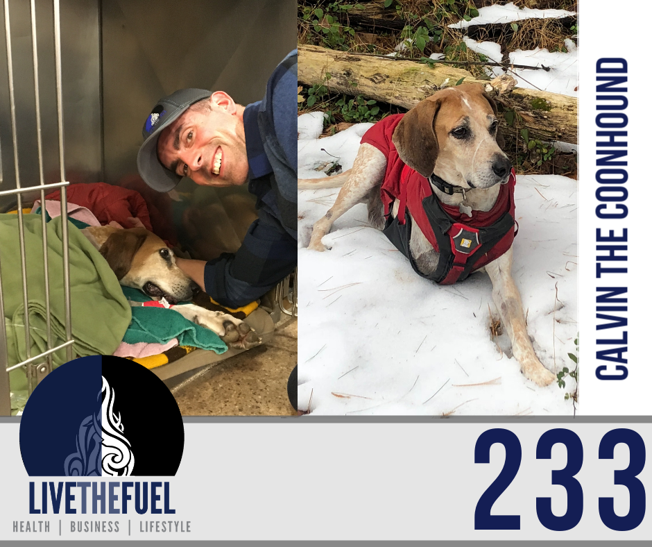 Podcast 233: Our Calvin The Coonhound Battles Cancer