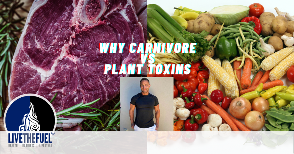 Why Carnivore vs Plant Toxins with Anthony Chaffee Part 2