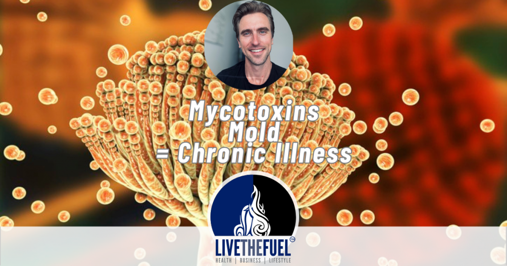Mold, Mycotoxins, Chronic Illness with Seth Jones